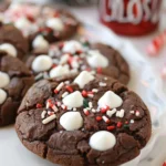 Christmas Cookie Recipes Holiday : Hot Cocoa Cookies